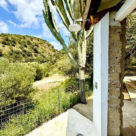 Villa Lo Scoglio Ашеа Экстерьер фото